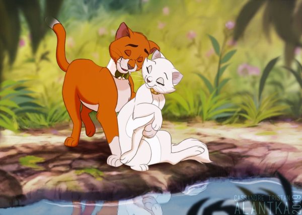 Фурри Duchess Aristocats