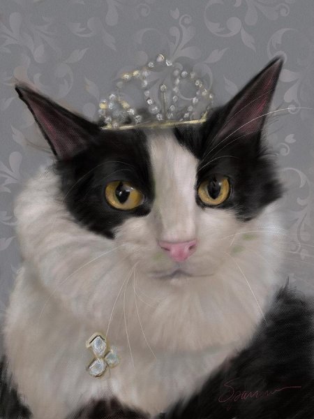 Коты принцессы