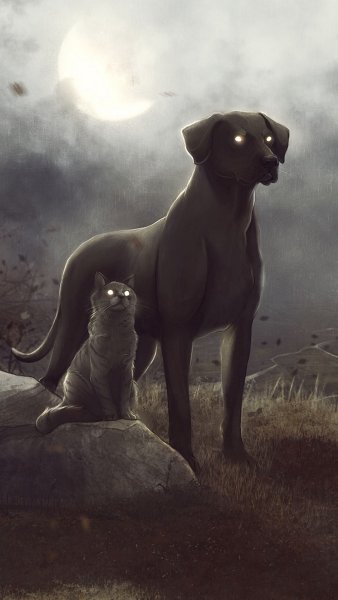 Арты кошек и собак