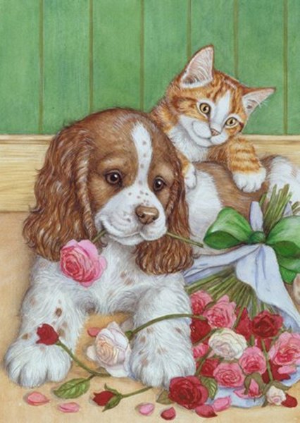 Собачки и кошечки