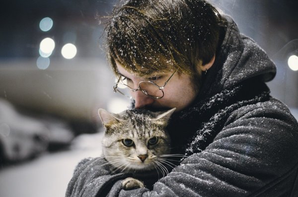 Мужчина обнимает кота