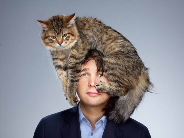Кошки и их хозяева