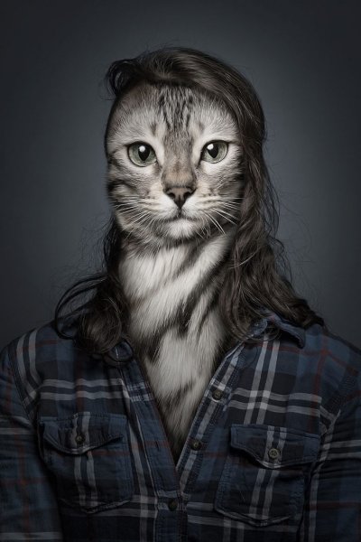Коты и люди