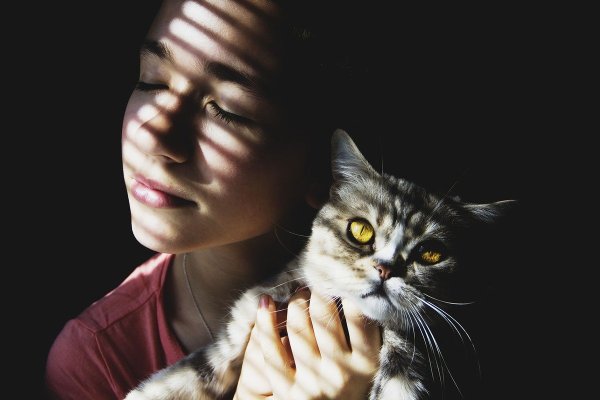 Девушка с котом на руках