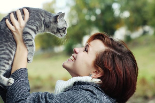 Кошка обнимает
