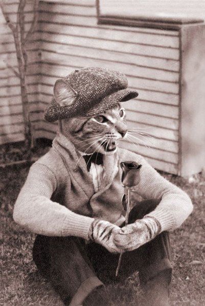 Человек с головой кота