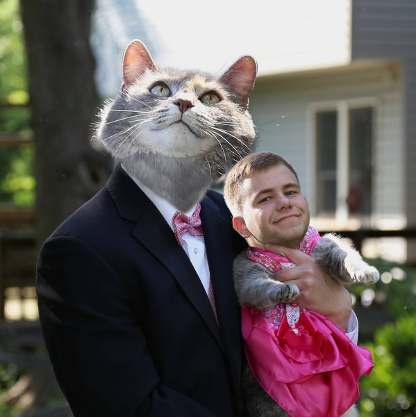 Смешной фотомонтаж