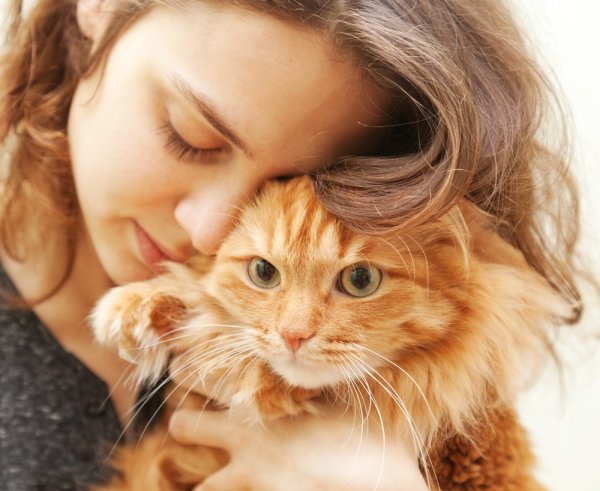 Девочка с рыжим котом