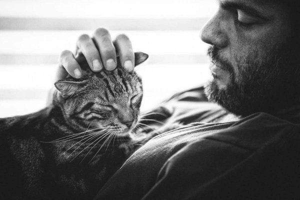 Парень с котенком