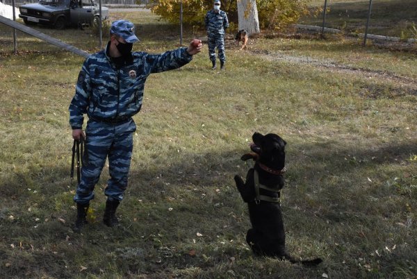 Полиция поймала преступника