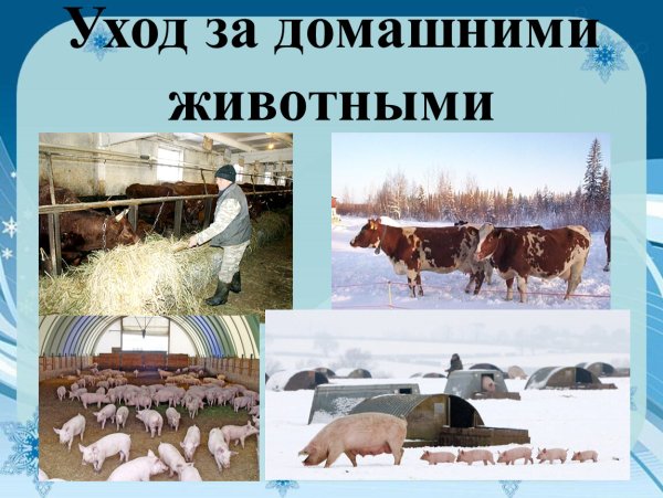 Труд людей зимой