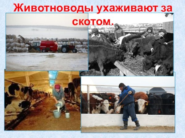 Труд людей зимой на селе