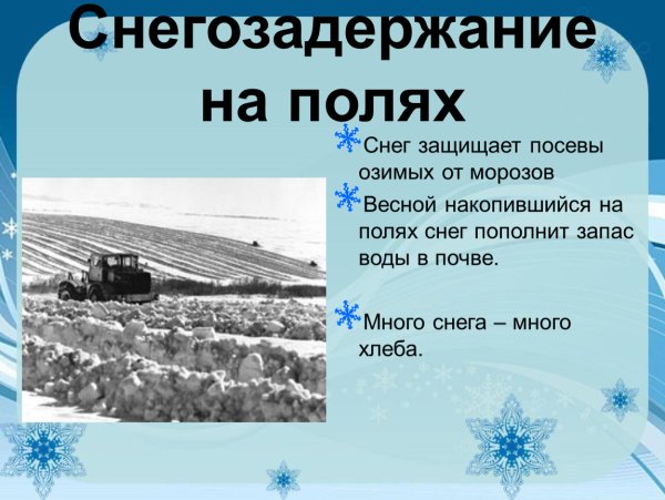 Снегозадержание зимой на полях