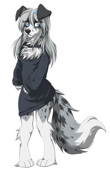 Фурри keihound