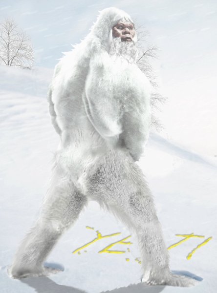 Йети 270