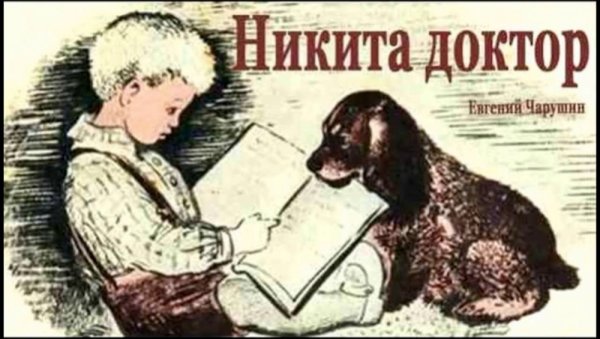 Книга Чарушина Никитка и его друзья