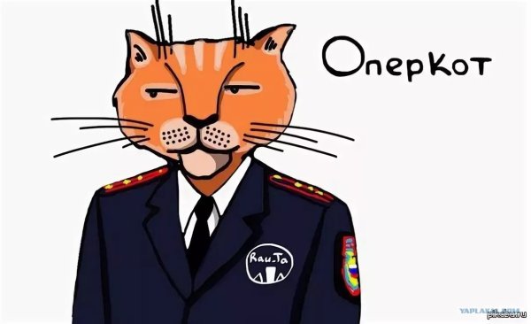 Кот полицейский