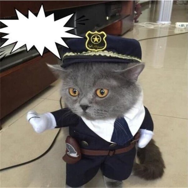 Костюмы для котиков