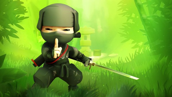 Mini Ninjas Adventures