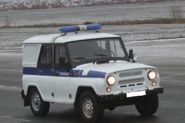 УАЗ 31514 полиция
