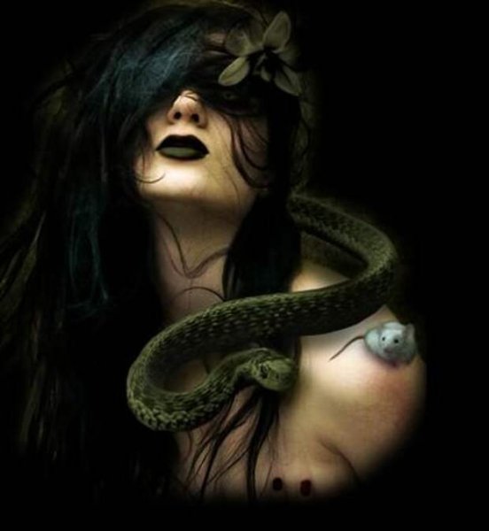 Девушка с глазами змеи