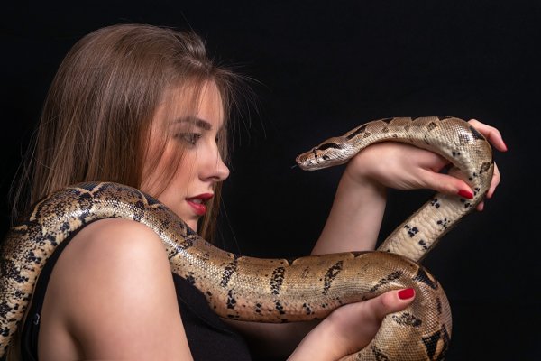 Красивые девушки со змеями