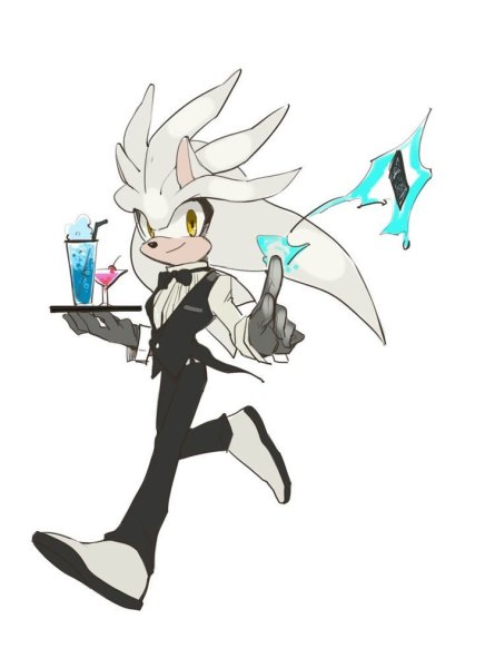 Sonic Сильвер арт