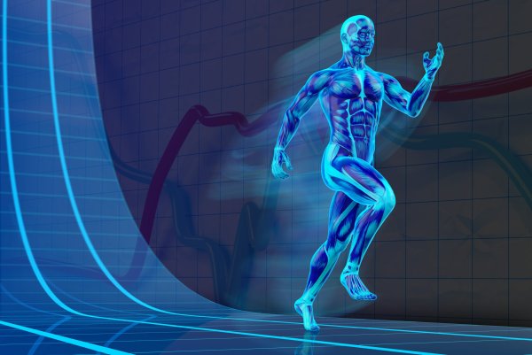 Спортивная физиология