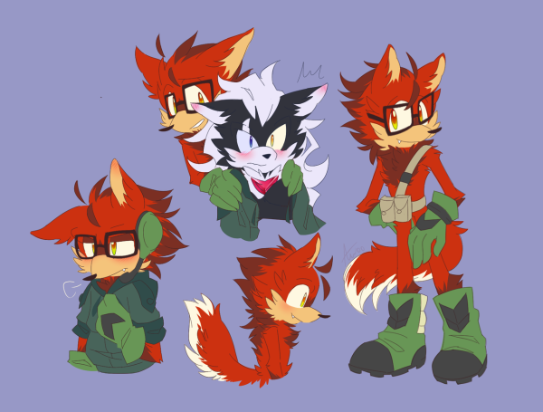 Sonic Forces gadget Wolf