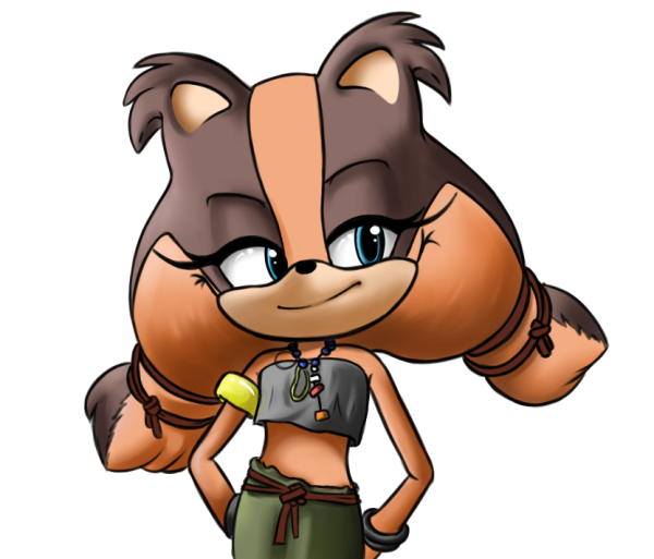 Sonic Boom Стикс