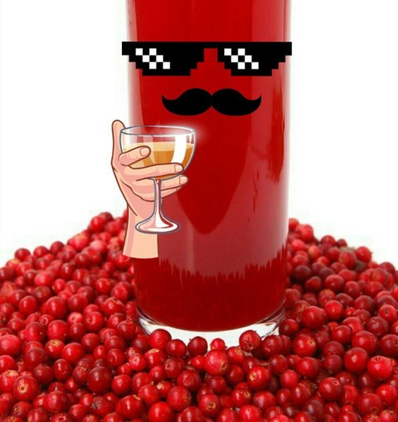 Бот компот