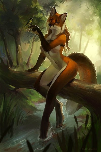 Фурри Лис