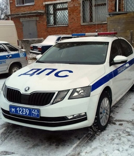 Skoda Octavia a7 ДПС