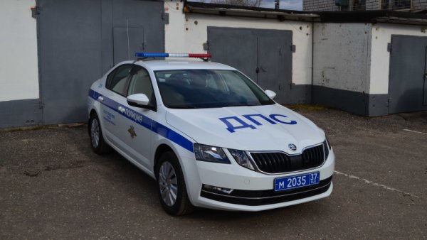 Skoda Octavia a7 ДПС