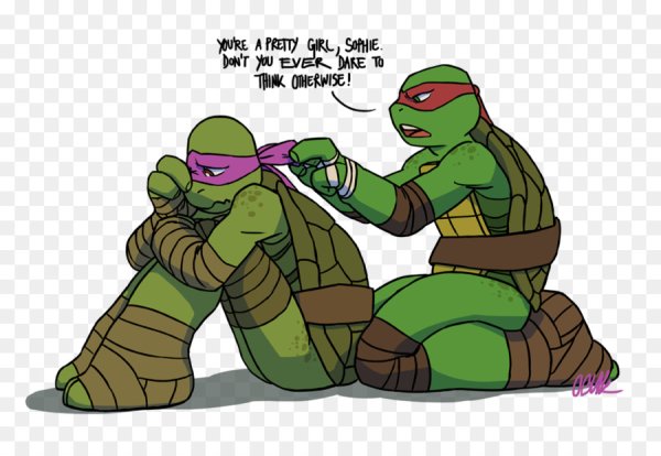 TMNT 2012 Рафаэль и Кейси