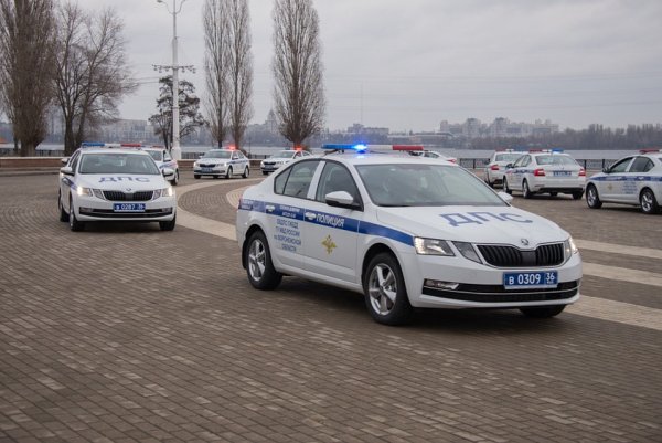 Škoda Octavia полиция