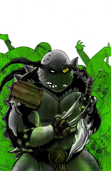 Slash (teenage Mutant Ninja Turtles)