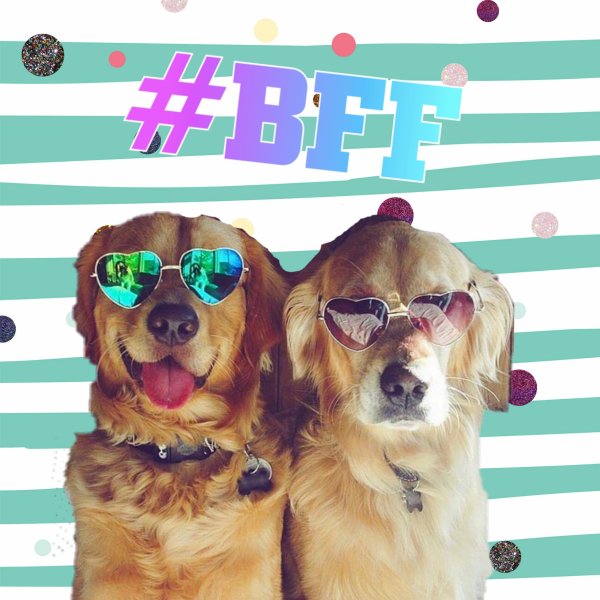 Обои на телефон BFF