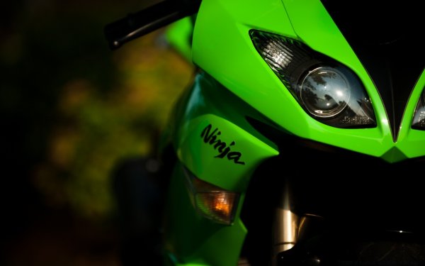 Kawasaki Ninja 300 Black