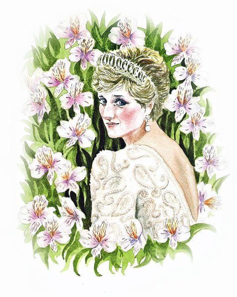 Princess Diana Art
