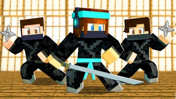 Minecraft Ninja