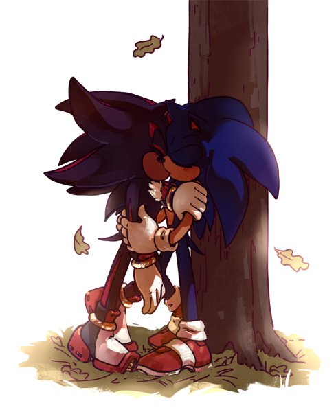 Sonadow гендер Шедоу