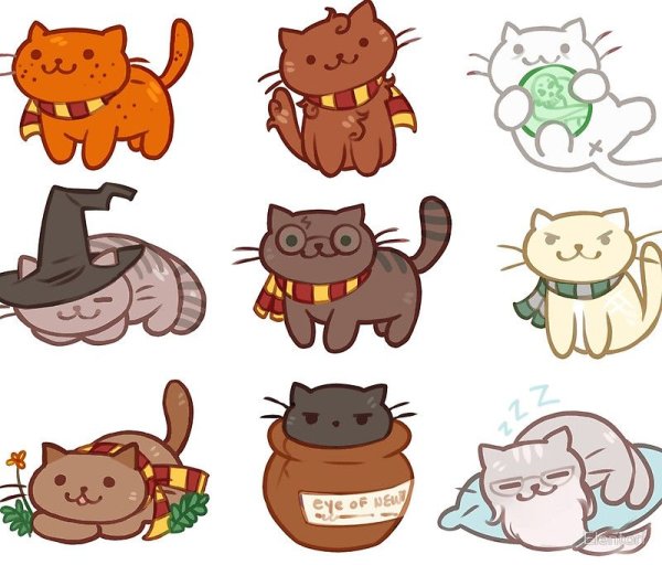 Pusheen Гарри Поттер