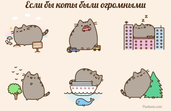 Котики для личного дневника