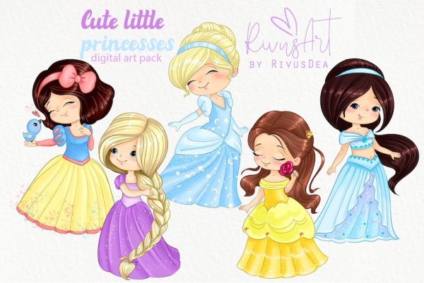 Little Princess Fairy Tale book Birthday
