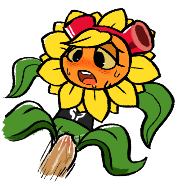 PVZ Solar Flare 34