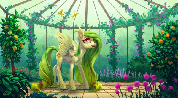 My little Pony holivi