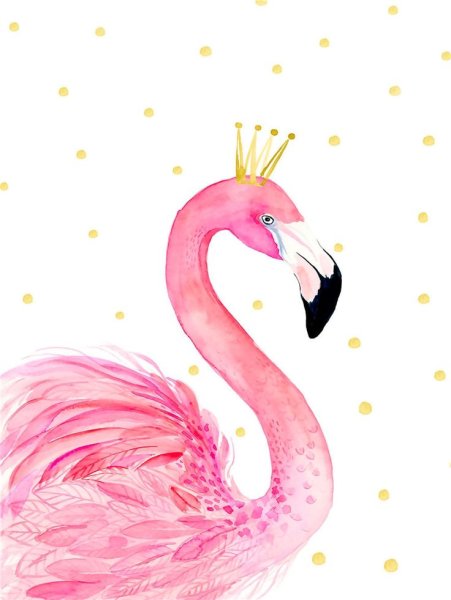 Арты сказочные принцессы фламинго (41 фото)
