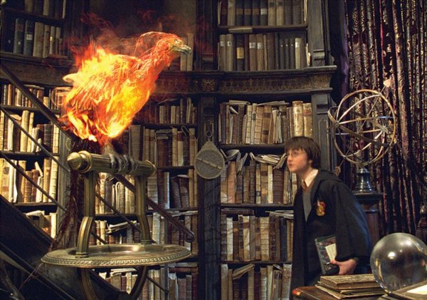 Гарри Поттер Феникс Фоукс