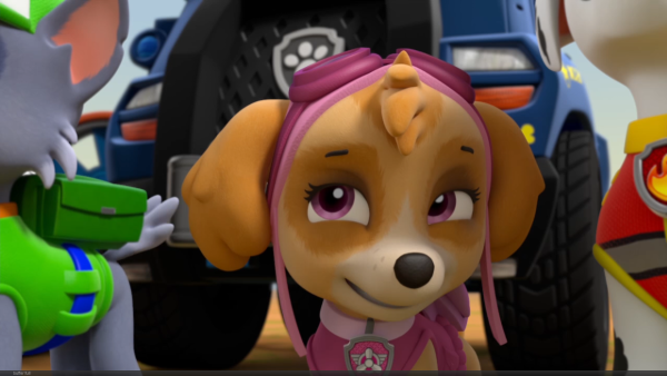 Paw Patrol гонщик и Скай